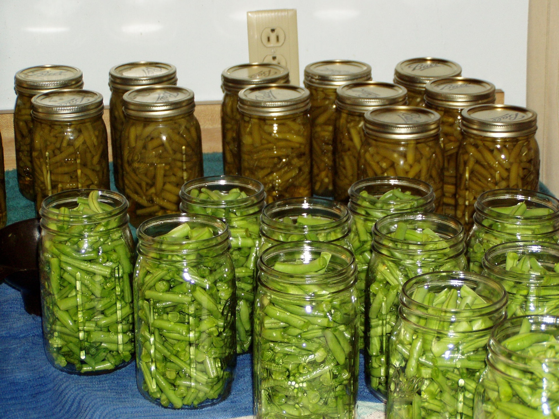 A Brief History of Food Preservation – Breathing Room